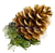 pinecone icon